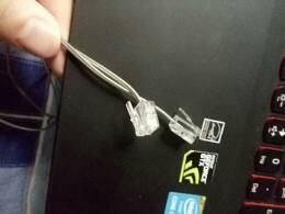 电话线能当网线用吗？